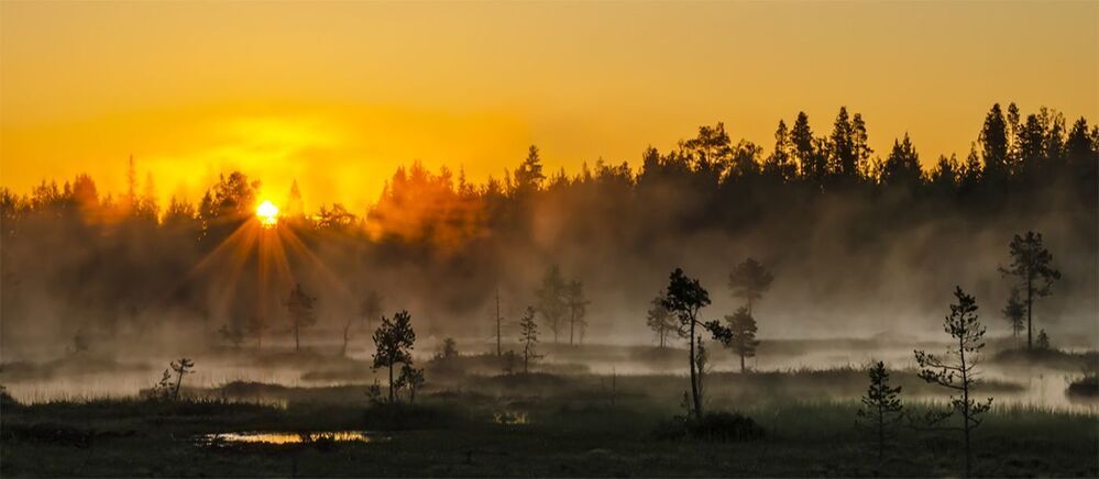 По Карелии