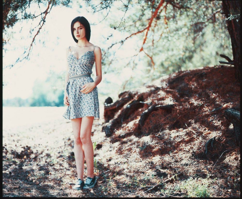 In the forest...