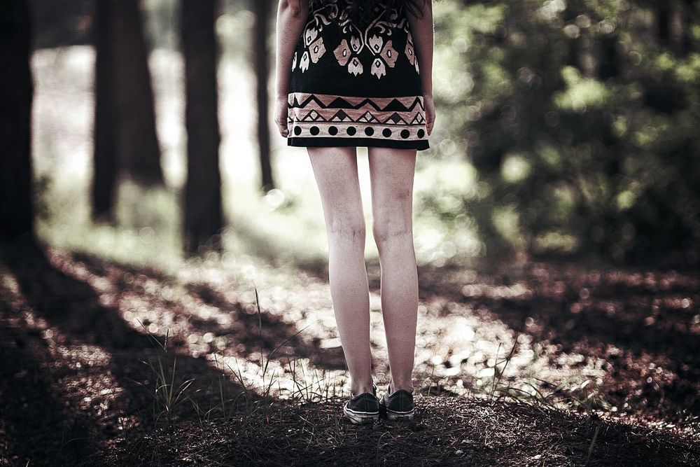 In the forest...