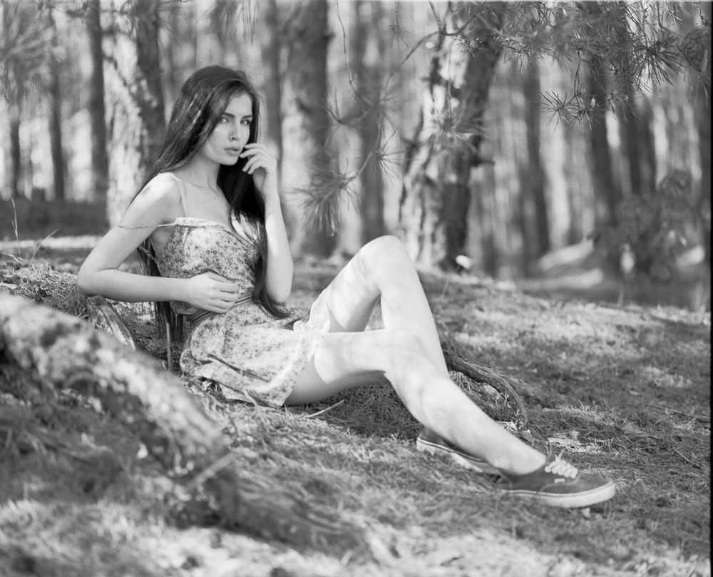 In the forest...