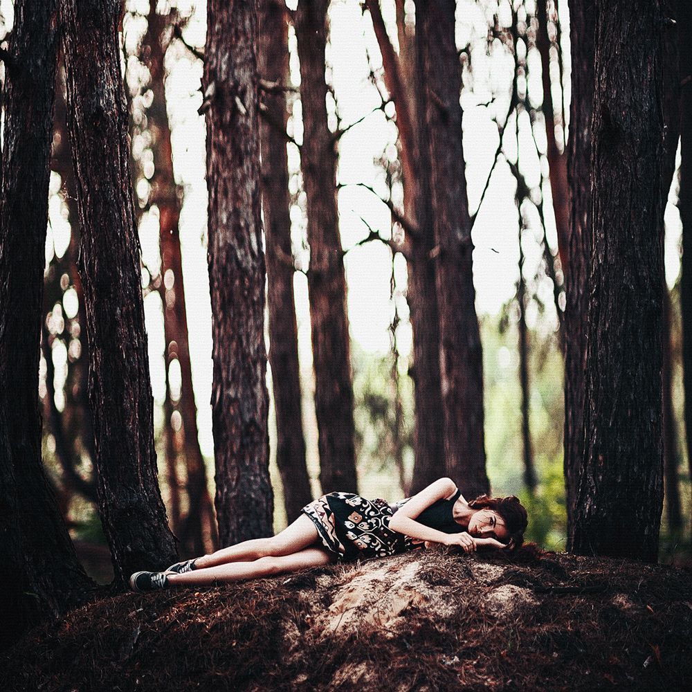 In the forest...