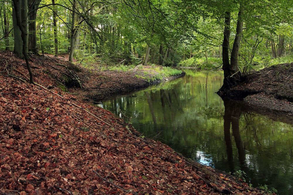 Myśla