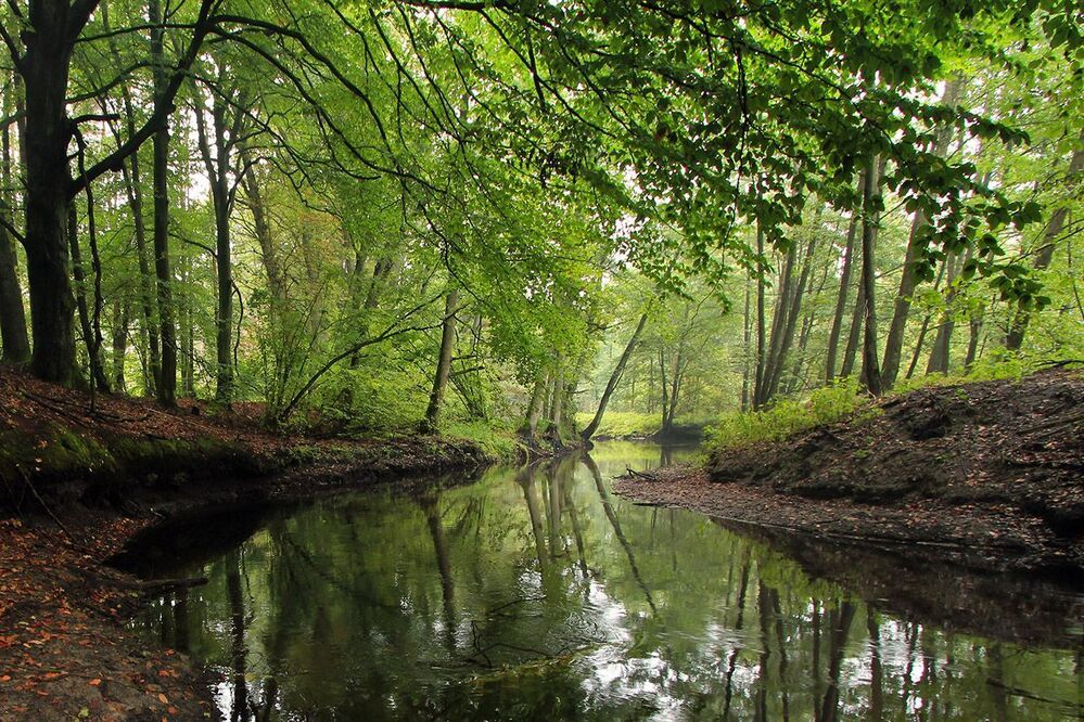 Myśla