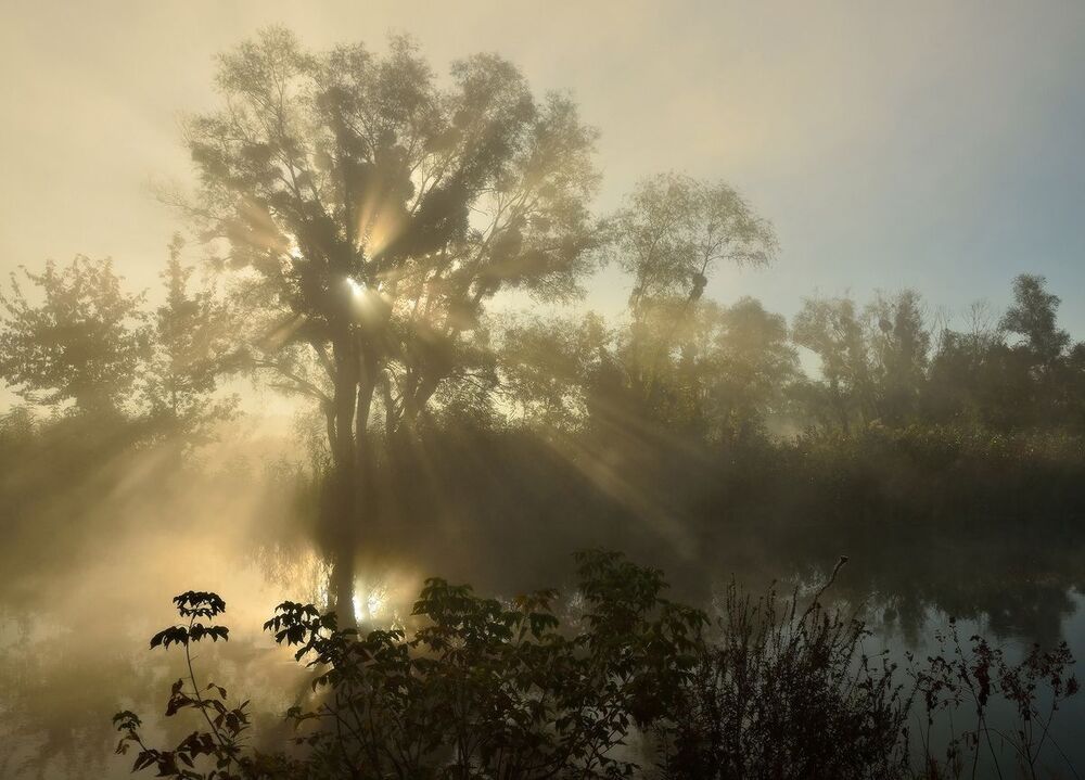 Мгновения