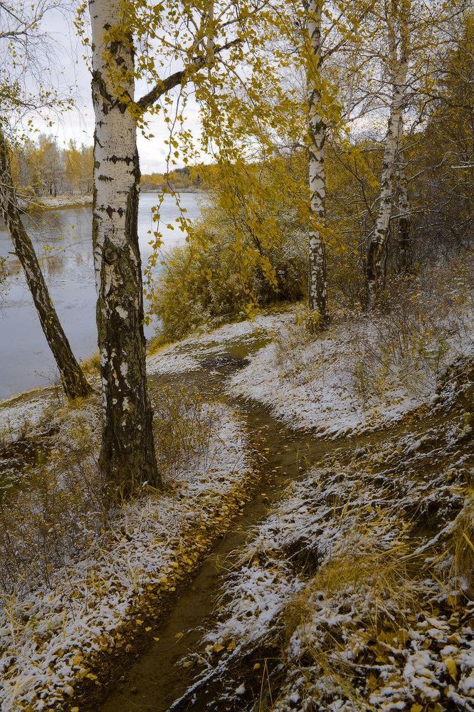 Сентябрь.Прогулка в осень