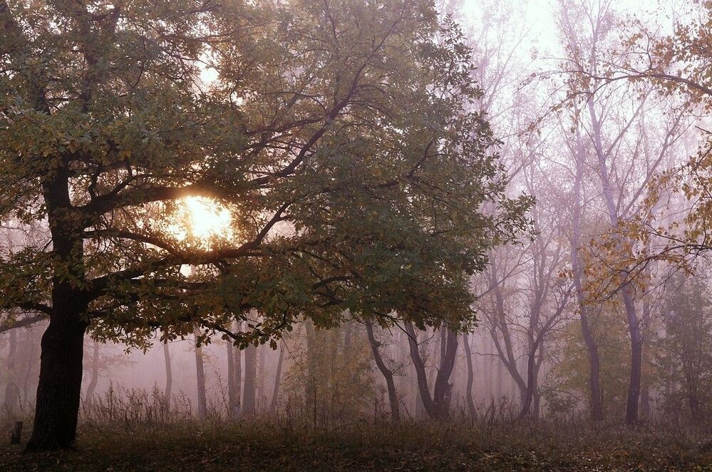 осенние зарисовки