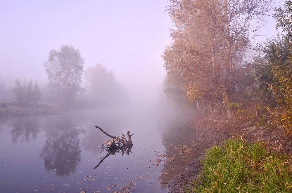 осенние зарисовки