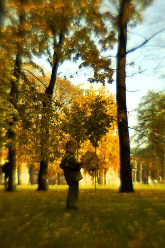 золотая осень