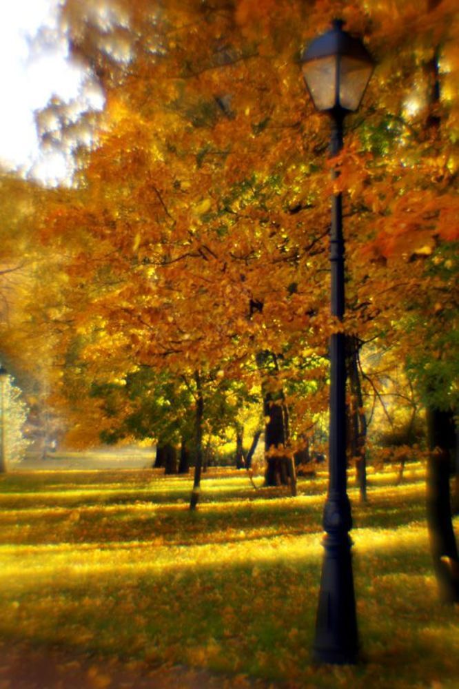 золотая осень