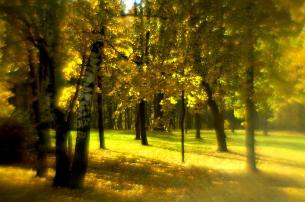 золотая осень