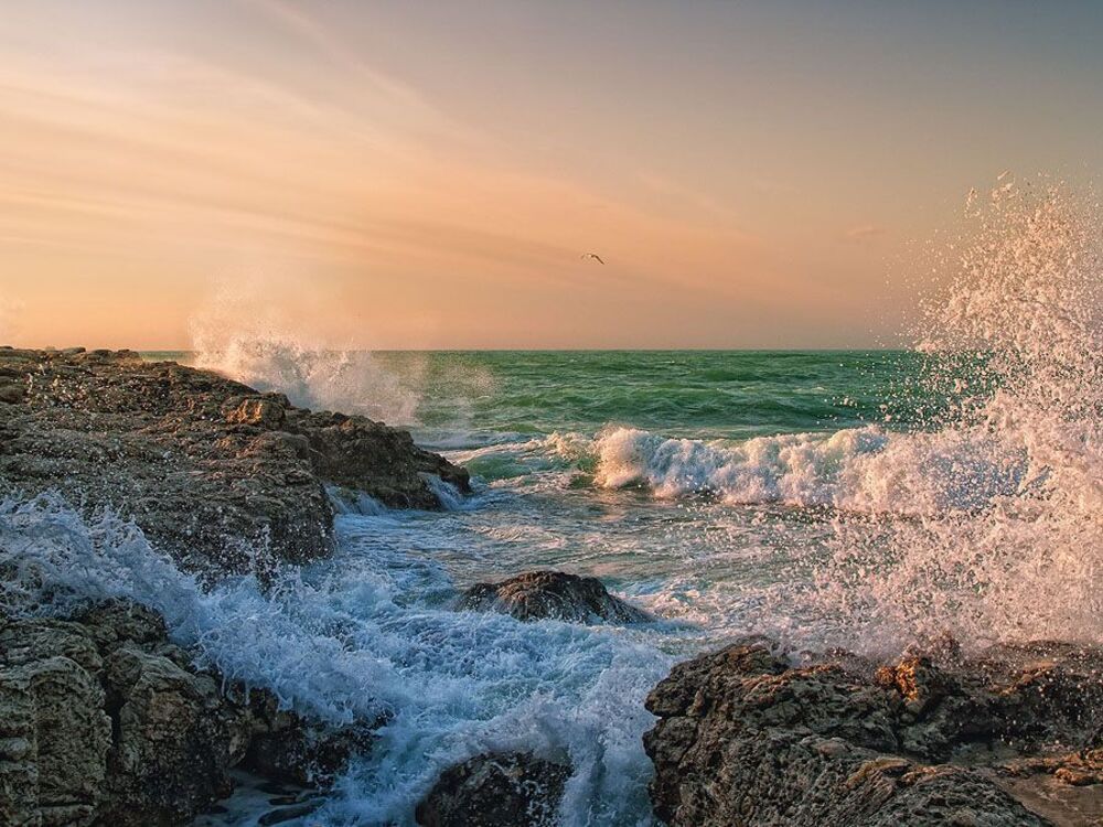 Черное море