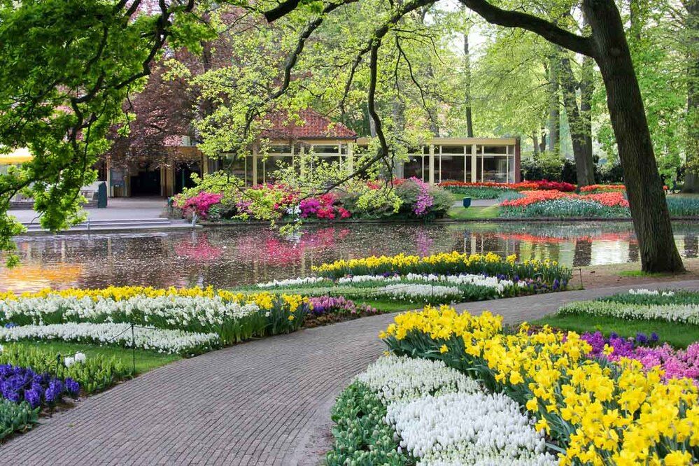 Кекенхоф