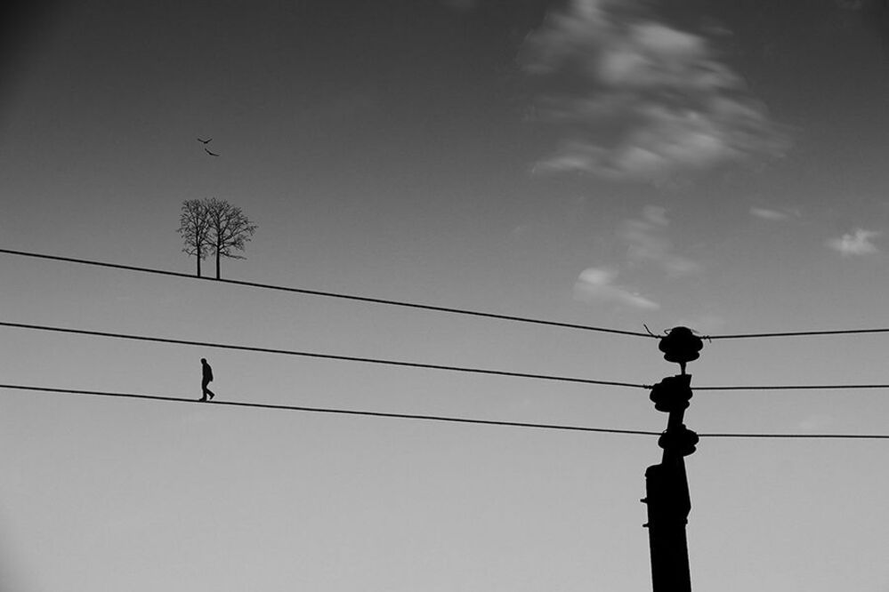 Photo 600483