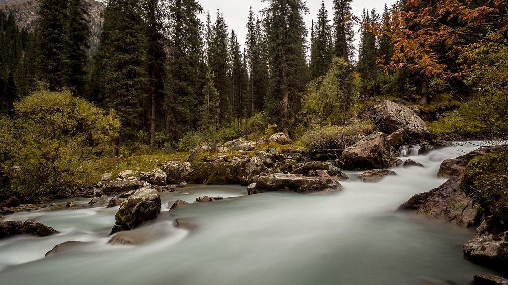 про воду&hellip; и начало осени