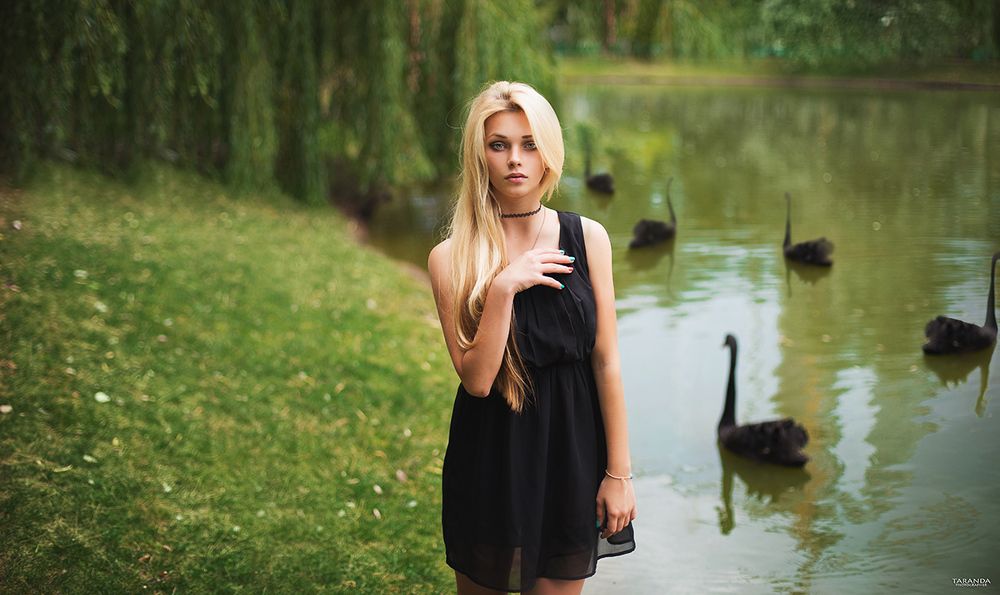 Black Swan