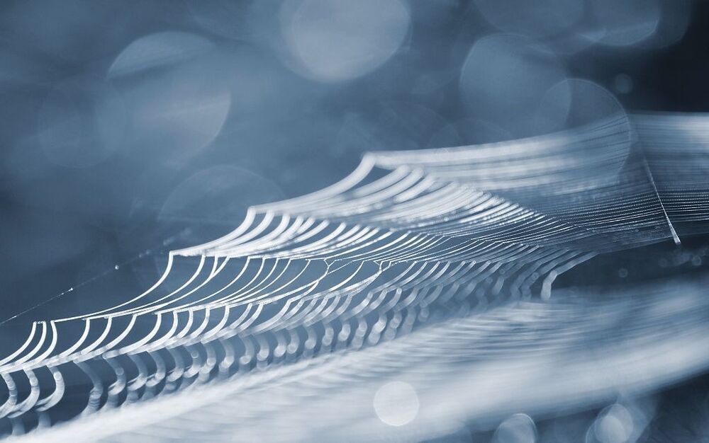 web l