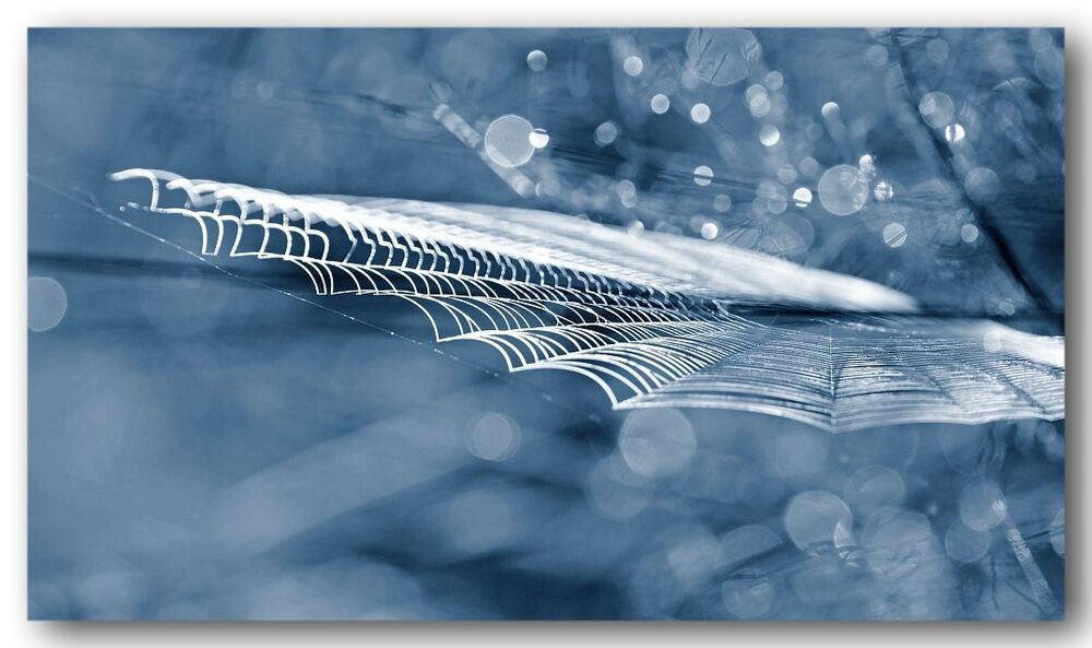 web ll