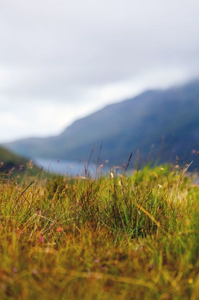 Killary Fjord