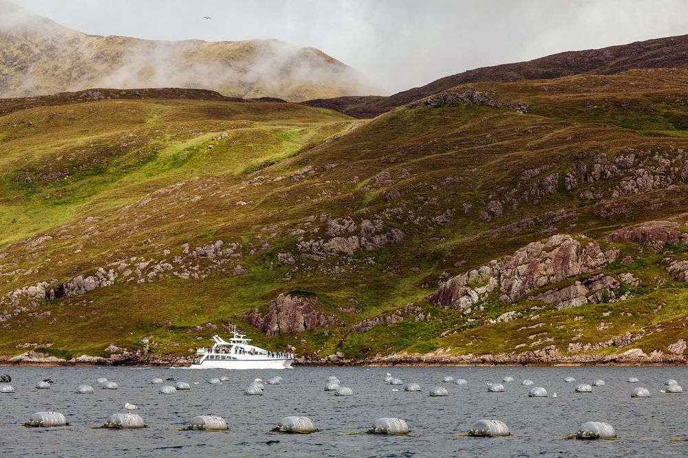 Killary Fjord