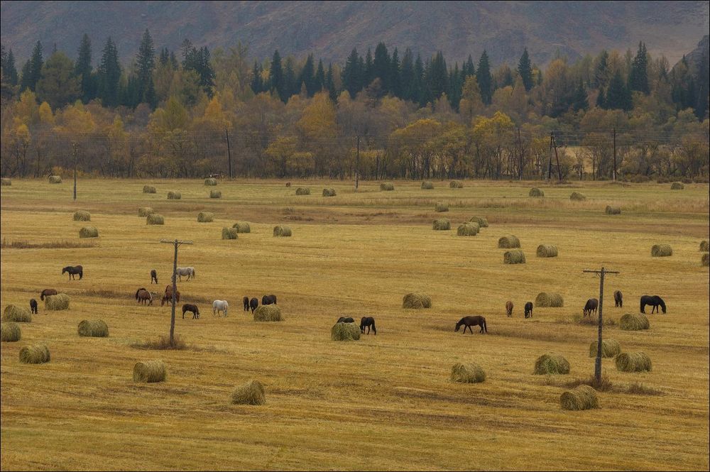 Усть-Кан
