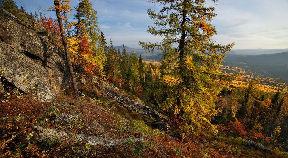 Разгулялась осень