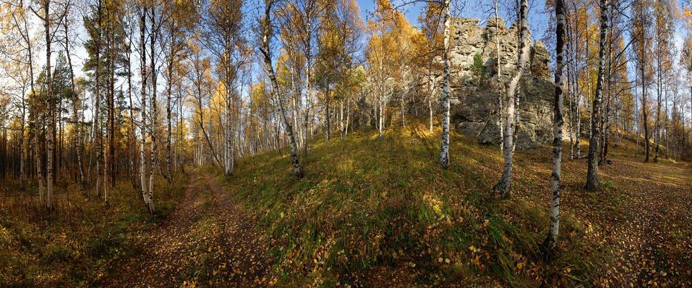 Разгулялась осень
