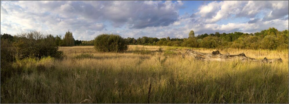 Осень на р. Березина