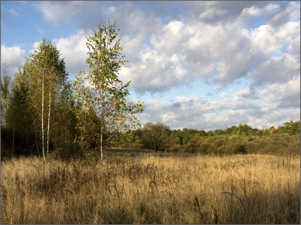 Осень на р. Березина