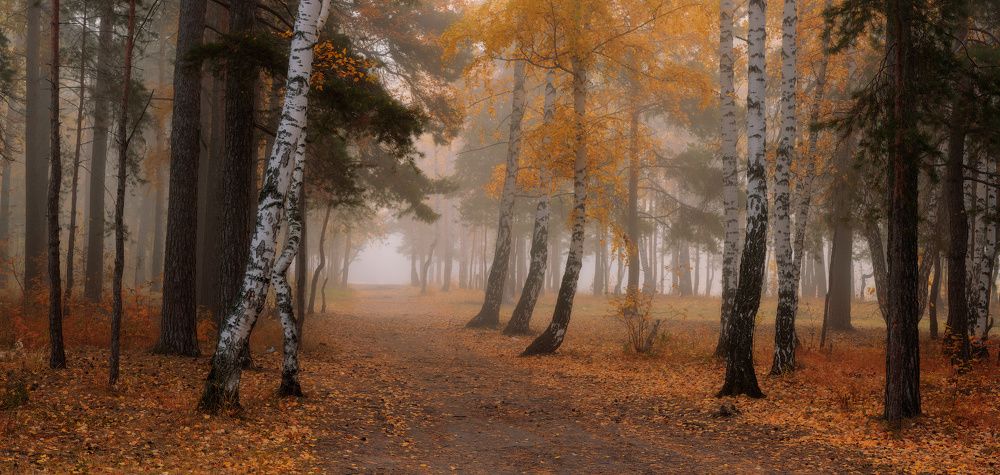По следам золотой осени