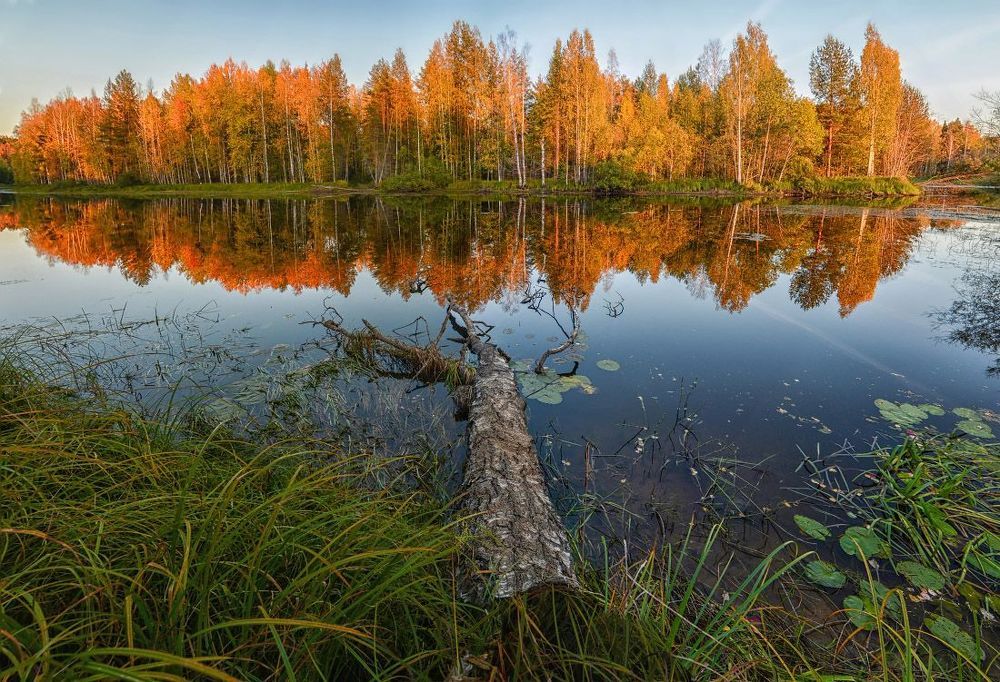 Цвет осени.