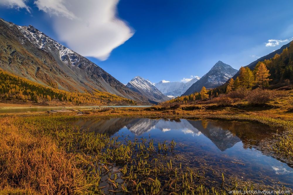 Там, где живет настоящая осень