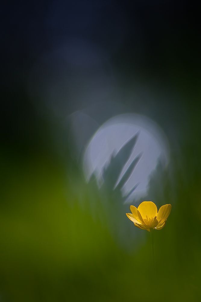 Out of the green