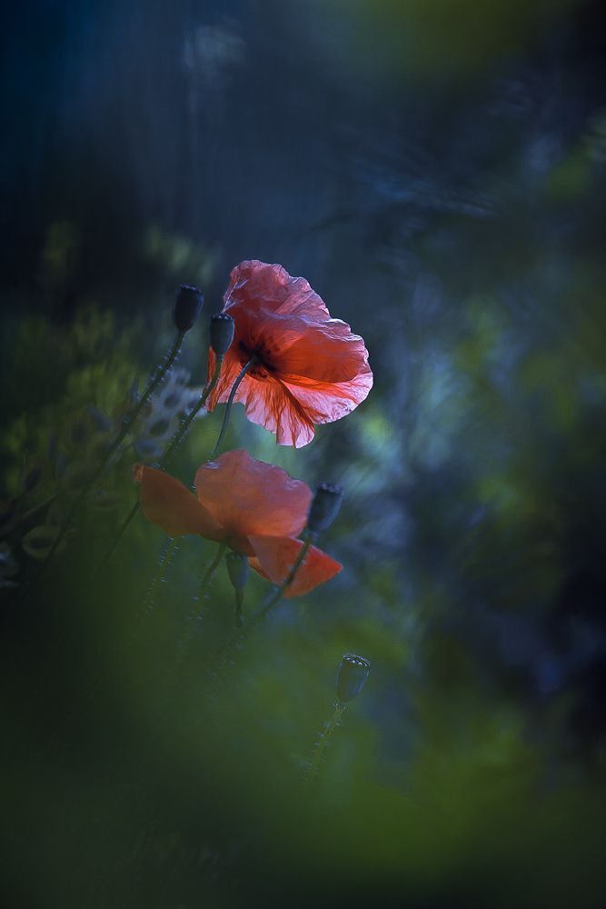 A windy morning