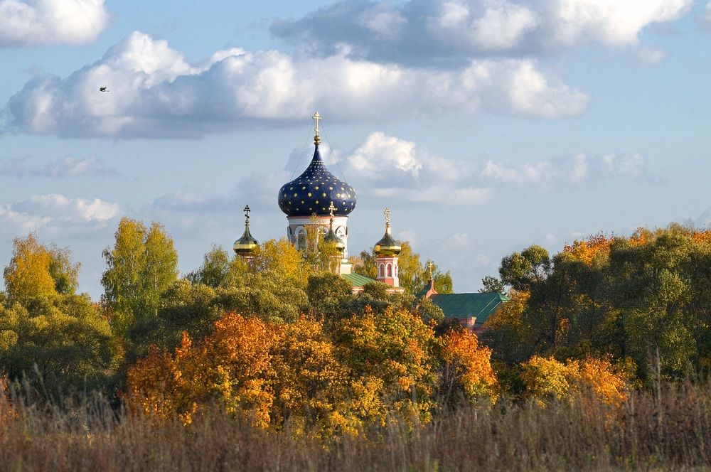 Фотографии с велопрогулок