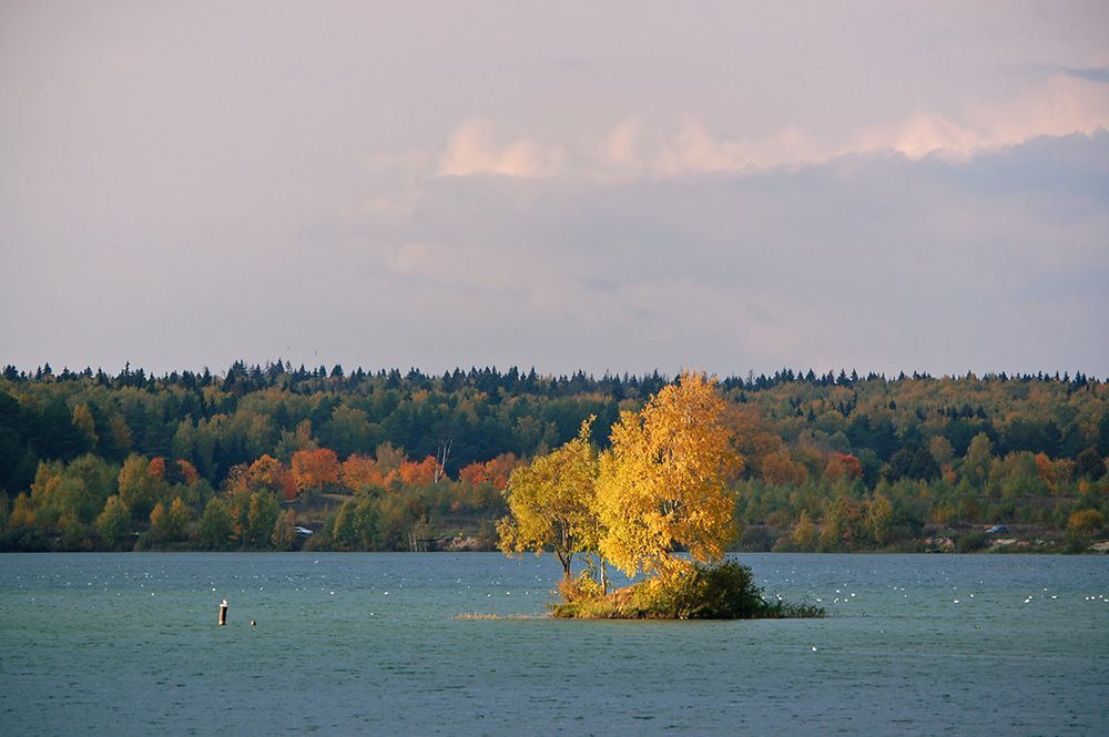 Моя осень