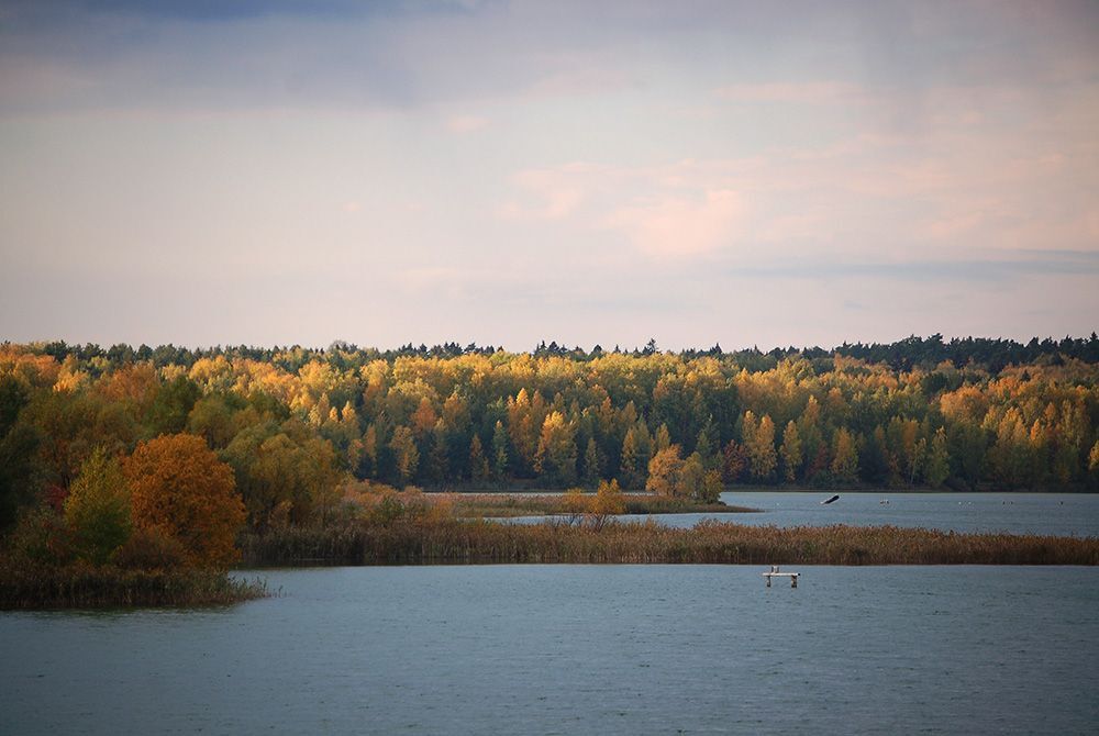 Моя осень