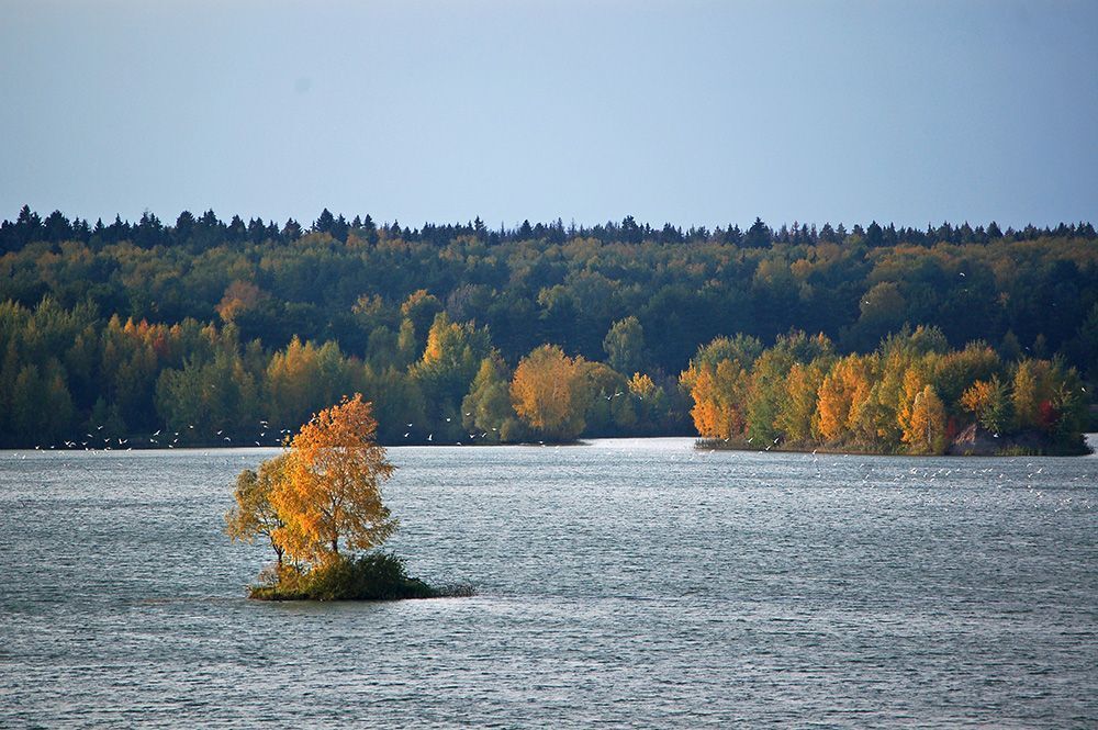 Моя осень