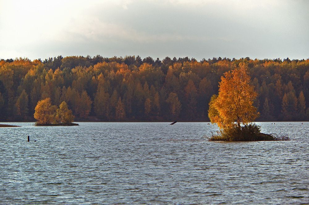 Моя осень
