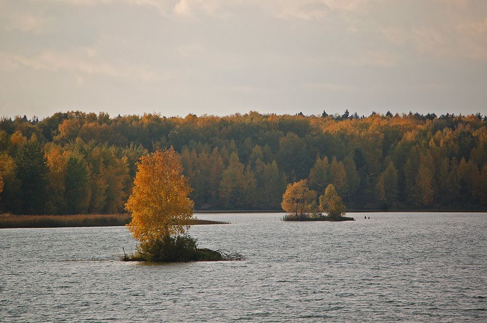 Моя осень