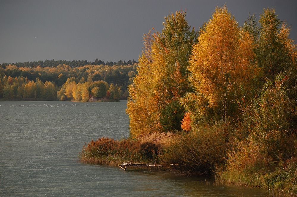 Моя осень