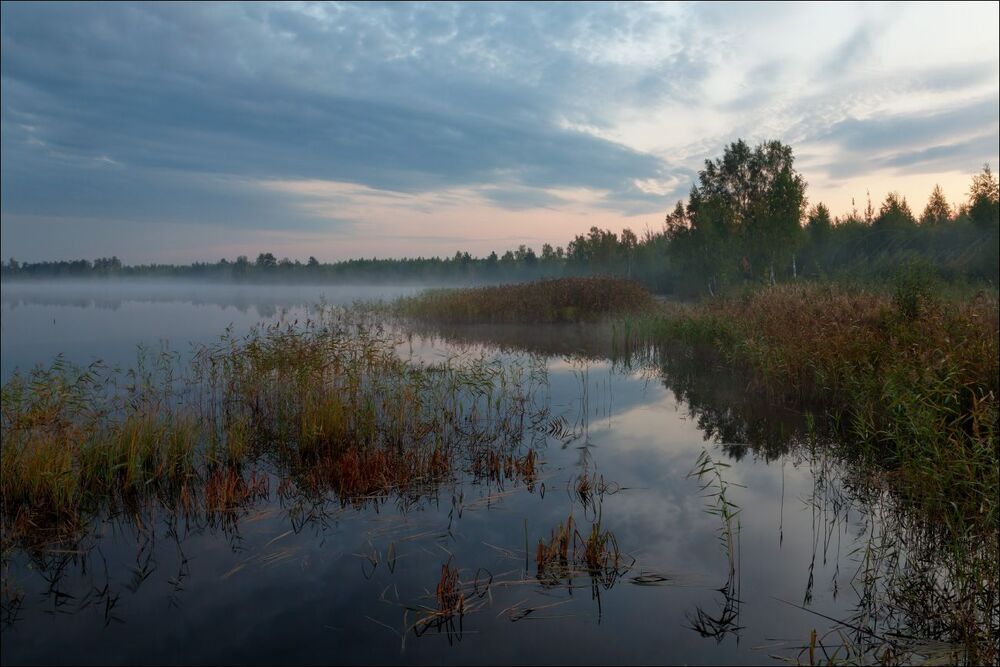 Светает