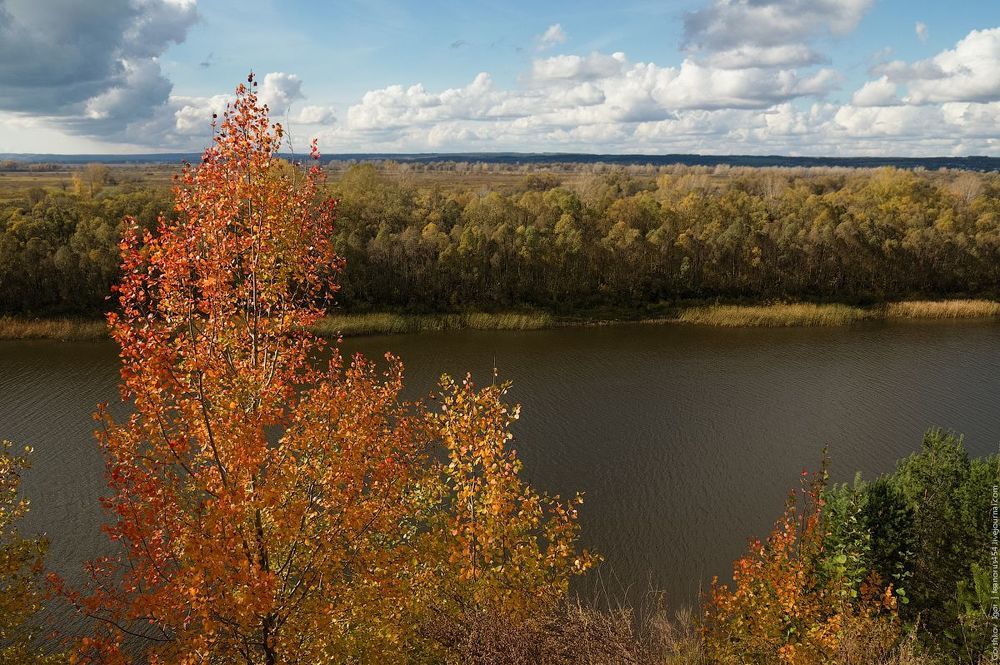 Осень на Нижней Каме