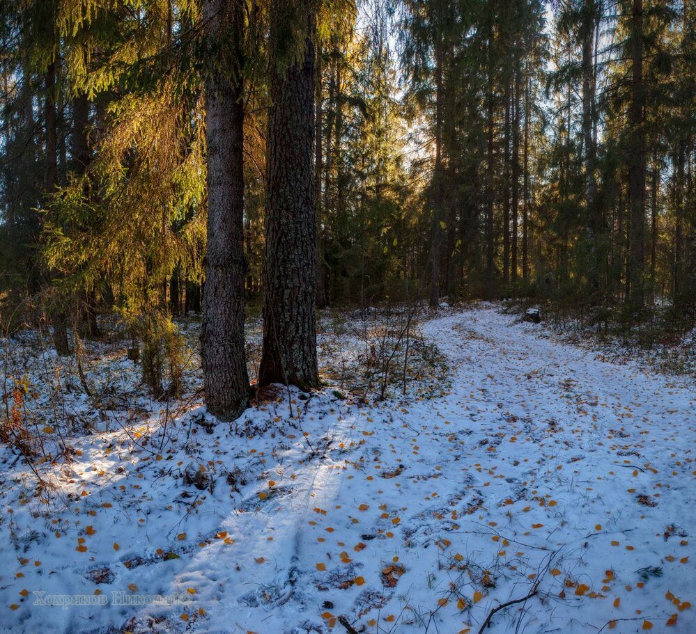 синь и золото первого снега...