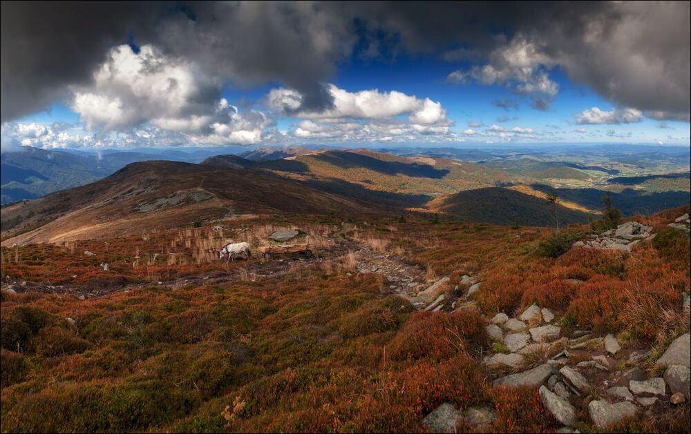 Карпатские панорамы