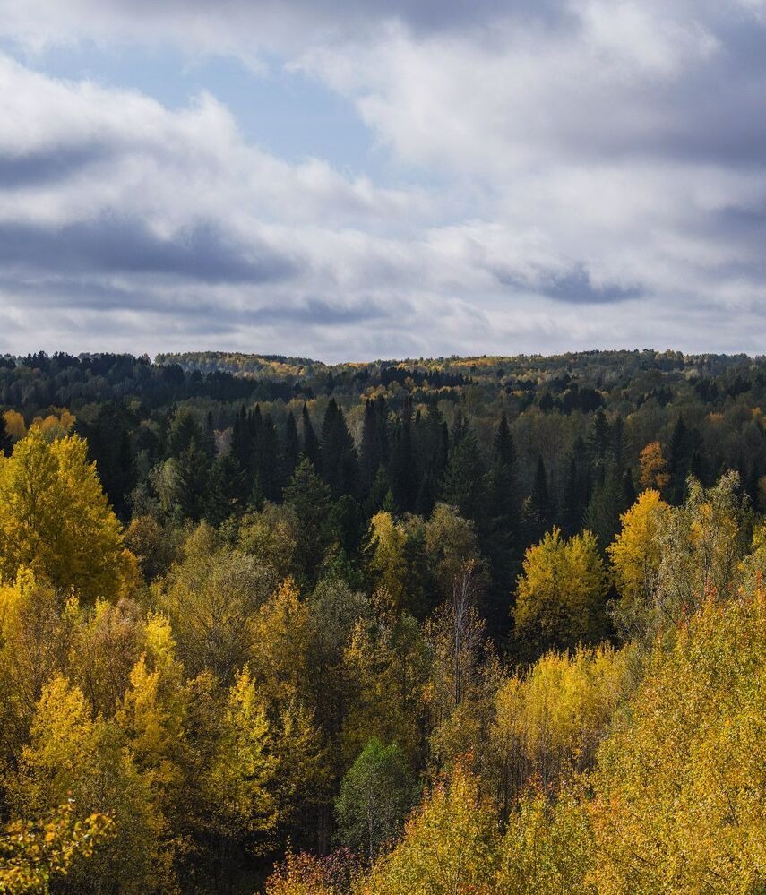 Мгновения Томской осени.