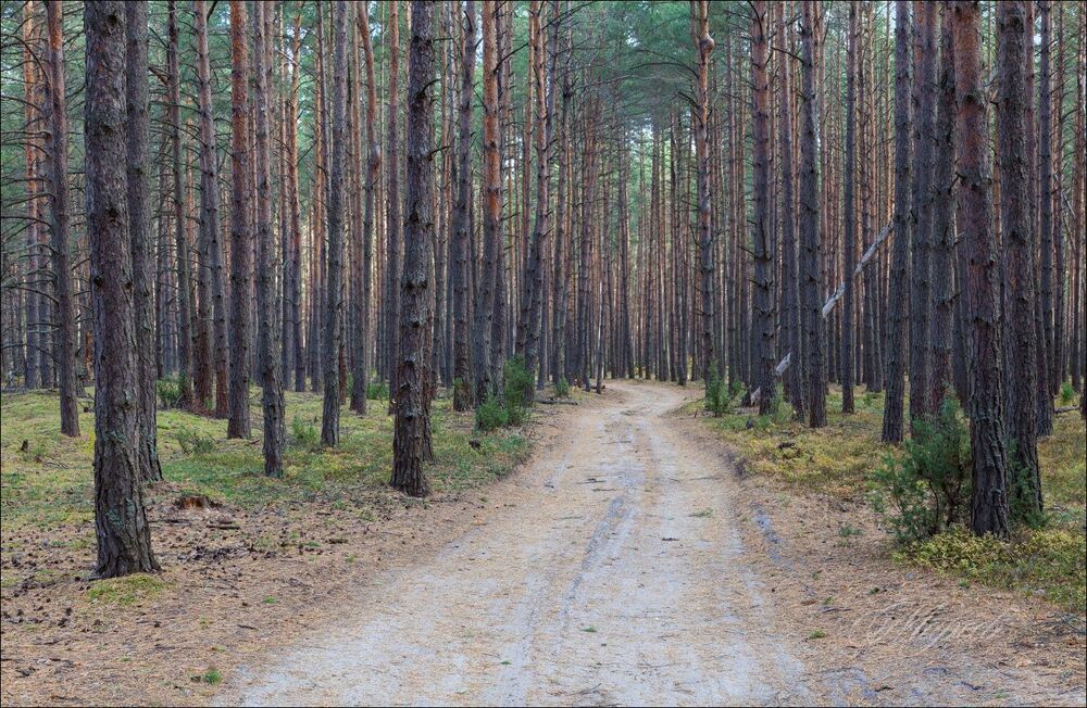 Октябрь в Тульской области.