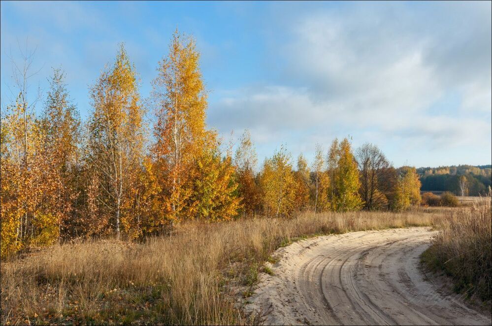 Октябрь в Тульской области.