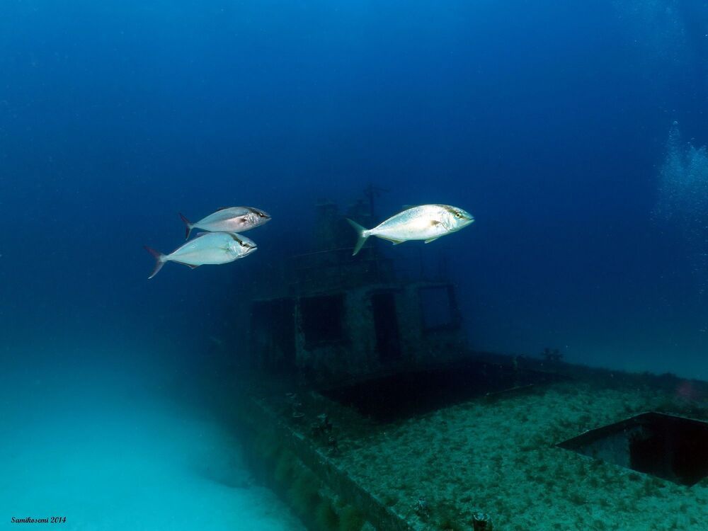 Malta ship wrecks