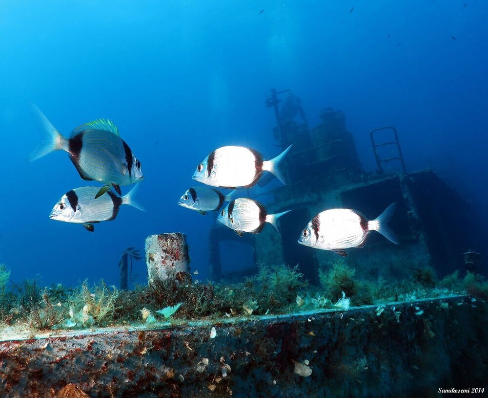 Malta ship wrecks