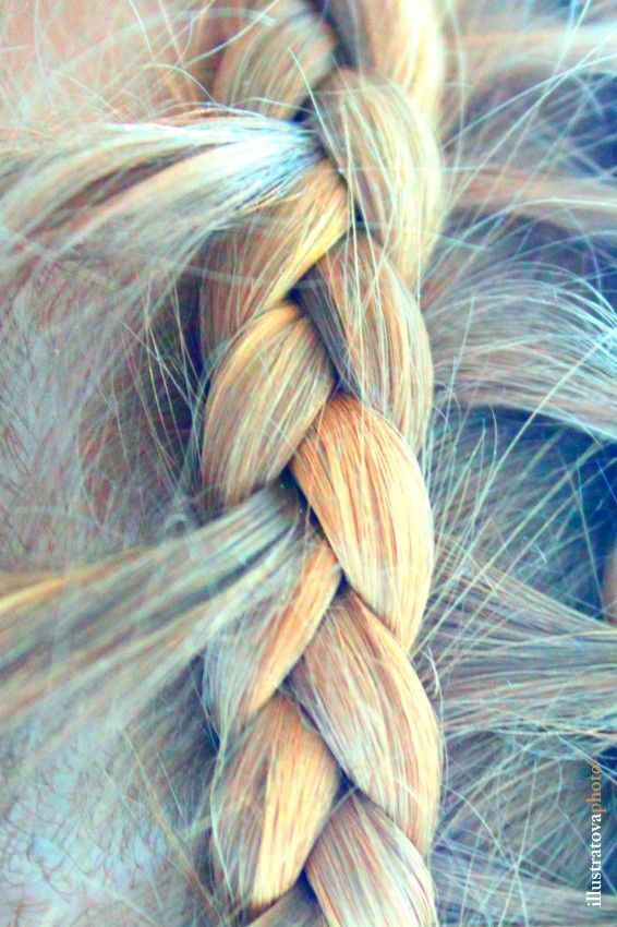 Plaiting